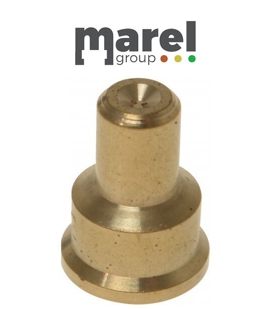 UGELLO PER PILOTA POLIDORO ø 0,32 mm 2 fori ø 0,16 mm